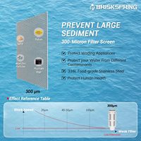 Filtre à eau réutilisable en acier inoxydable pour toute la maison, système de pré-filtration pour ville/eau de puits