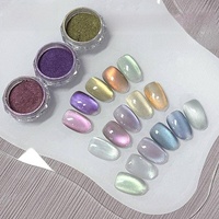 Poudre magnétique multifonctionnelle ajustable pour ongles Water Light Eye