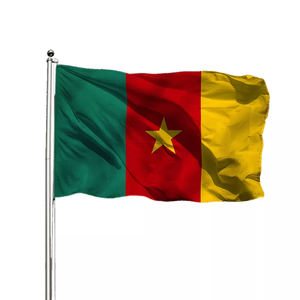 Banderas de Camerún personalizadas Logotipo de 3x5 pies verde rojo amarillo estrella bandera intercambio mano ondeando coche Camerún países bandera - Product Image 2
