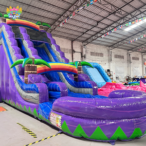 Tobogán acuático tropical inflable al aire libre <span class=keywords><strong>para</strong></span> niños y <span class=keywords><strong>adultos</strong></span> <span class=keywords><strong>para</strong></span> fiestas Producto de <span class=keywords><strong>castillo</strong></span> inflable <span class=keywords><strong>para</strong></span> niños - Product Image 2