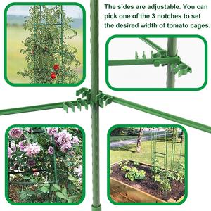 Support de culture facile pour légumes : Cage à tomates pour pots - Product Image 6