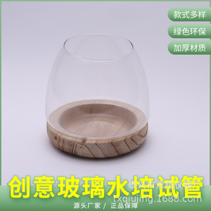 Transparent Glass Hydroponic <b>Vase</b> With Wooden Base For Indoor Plants Decorative Tabletop Use - Product Image 1