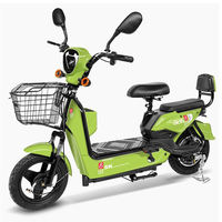 Bicicleta Eléctrica, E-bike, Batería de Plomo-Ácido de 48V, Neumáticos Anchos, Motor sin Escobillas Digital de 500W, Alcance de 50km, Bicicleta Urbana Electrónica