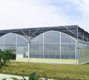 Commerciële Gebruikte Plastic Film Multi-Span Kas Met Hydrocultuur Systeem Voor Aardbei En Tomaat - Product Image 4