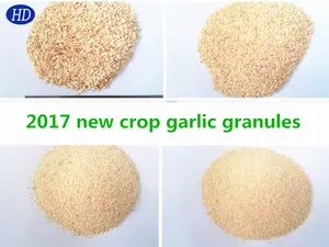 China Supplier Manufacturer Dried Garlic Minced/Chopped/Granulated Grade A Quality