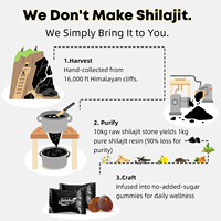 Gummies multi-herbes Shilajit avec Ashwagandha, Curcuma, Gingembre Noir pour le soutien énergétique – Marque privée OEM