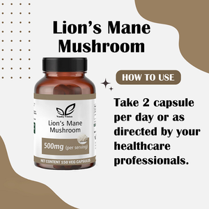 Capsules d'extrait de champignon Crinière de lion à haute puissance, formule naturelle pour le soutien cérébral, la concentration, la mémoire et le bien-être cognitif pour adultes - Product Image 5