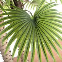 Maison d'intérieur décoratif cocotier pot de pépinière plantes de verdure artificielle tronc PU durable intérieur extérieur arbres artificiels