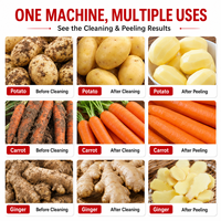 Fruit- en groenteschilmachine, aardappelschilmachine, wortelgroentewasmachine, borstelschiller voor cassave, gember, wortel