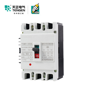 Disjoncteur à boîtier moulé Tengen Tgm1 160A 3P, unité de déclenchement thermique magnétique, protection basse tension - Product Image 1