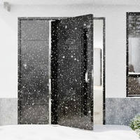 Portes de sécurité extérieures pivotantes en acier inoxydable de haute qualité de style américain pour maison, porte d'entrée en métal