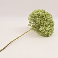 HFlora-bouquet d'hortensias à grandes/petites fleurs, 20-25 cm, plantes naturelles chauffées, avec boîte pour décor mural