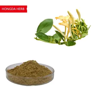 Factory Supply Honeysuckle Flower Extract with 5% Chlorogenic Acid Solvent Extraction Honeysuckle Extract