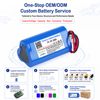 Baterai Lithium Kustom 11.1V 3Ah NMC 3S OEM ODM untuk Penyemprot Listrik, Perekam EKG Portabel, Pengukur Ketebalan Lapisan, Pompa Udara