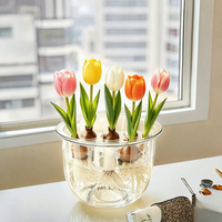 Pot de fleurs transparent moderne en polypropylène pour culture hydroponique avec plateau de support pour bulbes, idéal pour tulipes et jacinthes, usage domestique