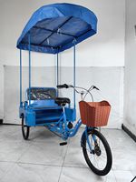 Triciclo de Carga de 3 Ruedas con Estructura de Acero para Adultos, Asiento Cómodo, Seguro, Carrocería Abierta, Rickshaw, Triciclo de Pasajeros, Exportación, 20 Pulgadas, 100 kg
