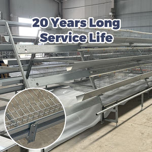 Tavuk çiftliği tavuk otomatik hayvan pil tabakası a tipi <span class=keywords><strong>120</strong></span> kuşlar 10000 kapasiteli tavuklar döşeme yumurta tavuk kafesi tavuklar döşeme - Product Image 5