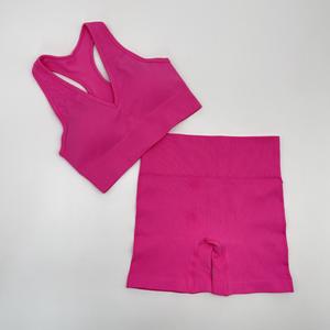 2021 nuovo abbigliamento sportivo da donna 2 pezzi Set da donna reggiseno sportivo ad alto impatto senza cuciture a costine Yoga Set - Product Image 4