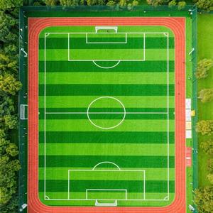 Gazon artificiel américain vert pour extérieur, tapis de <span class=keywords><strong>pelouse</strong></span> synthétique, <span class=keywords><strong>prix</strong></span> compétitif, en vente - Product Image 6