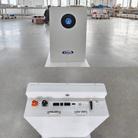 Residential Power Wall LiFePO4 Battery 5kWh 10kWh 15kWh 20kWh 51.2V Solar Home Storage Wall Mounted IP54 Case Cabinet With BMS