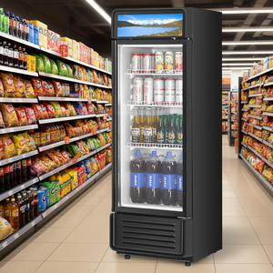 Réfrigérateur commercial de 12,2 pieds cubes avec porte vitrée, vitrine réfrigérée à température unique, auto-dégivrage, pose libre - Product Image 2