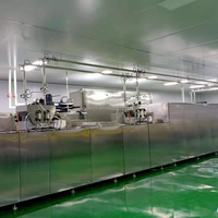 GUSU Automatische Nieuwe Fruit & Chocolade Vormgevings Productielijn Machine