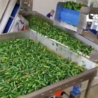 Ligne de transformation automatique des cornichons pour la mise en conserve, incluant mélangeur, friteuse, laveuse, pasteurisateur, nouvelle production de concombres marinés et de fruits