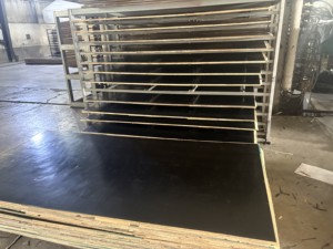 Contreplaqué phénolique WBP à âme en peuplier, film noir, moderne, pour coffrage extérieur, première classe E1, garantie 1 an, Dubaï, Moyen-Orient - Product Image 3
