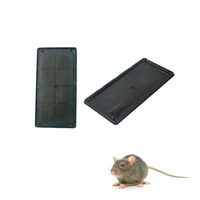 Vente en gros de colle solide super adhésive pour l'intérieur Piège à souris efficace pour le contrôle durable des rongeurs