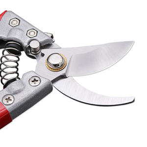 Innesto Fiore Cesoie In Acciaio Inox Manico Lungo <span class=keywords><strong>Potatura</strong></span> Curvo Set Taglio <span class=keywords><strong>Forbici</strong></span> Da Giardino - Product Image 4