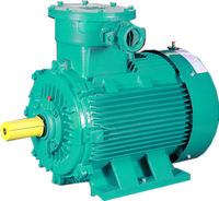 Moteur électrique asynchrone à courant alternatif triphasé antidéflagrant IC411 IC611