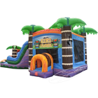 Combo de châteaux sautants de toboggan gonflable de maison de rebond de Tiki de qualité commerciale pour des enfants et des adultes