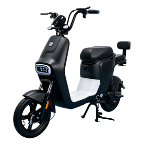Bicicleta Eléctrica con Llantas Gruesas <span class=keywords><strong>para</strong></span> Adultos, Precio de Fábrica, Batería Integrada de Plomo-Ácido de 48V, Motor sin Escobillas de 500W, Venta al Por Mayor - Product Image 3