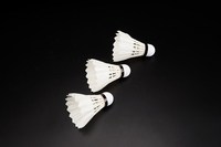 Fabricant chinois OEM, meilleures ventes de volants de badminton Victor RSL Speed 76/77/78 en Malaisie