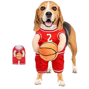 Nueva Llegada, Jersey de Baloncesto de Algodón Sólido para Invierno, Disfraz para Mascotas, Fiesta de Halloween, Estilo Deportivo Clásico y Cómodo, Chaqueta para Perros y Gatos - Product Image 1