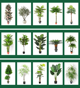 Plante artificielle <span class=keywords><strong>en</strong></span> <span class=keywords><strong>pot</strong></span> de 2 m de long <span class=keywords><strong>pour</strong></span> le salon, palmier artificiel, olive, bambou, bananier, arbres artificiels - Product Image 6