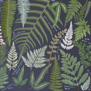 Feuilles <span class=keywords><strong>de</strong></span> <span class=keywords><strong>fougère</strong></span> faites à la main, couleur naturelle, petites branches <span class=keywords><strong>de</strong></span> haute qualité pour la décoration <span class=keywords><strong>de</strong></span> mariage, cadeaux d'usine - Product Image 2