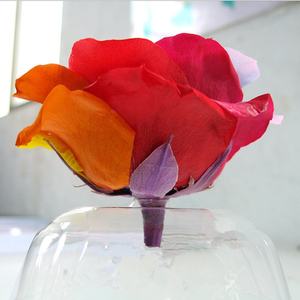 Rosas Preservadas de Grado A de YUNNAN al por Mayor, Flor <span class=keywords><strong>Preservada</strong></span> de Larga Duración de 9-10 cm, Cabeza de <span class=keywords><strong>Rosa</strong></span> Arcoíris <span class=keywords><strong>Preservada</strong></span> de Gran Tamaño para Arreglos Florales - Product Image 5