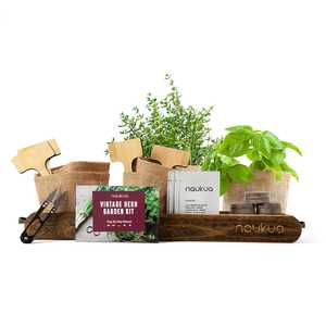 Kit de culture de <span class=keywords><strong>jardin</strong></span> urbain vintage pour herbes aromatiques Kit d'herbes d'intérieur pour adultes démarreur de plantes - Product Image 4