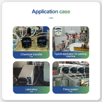 Pompe péristaltique électrique en acier inoxydable 12V de Chine, pompe de transfert de liquide de dosage de chlore CR avec moteur CC, OEM pris en charge