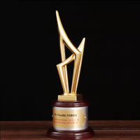 Personnalité métal trophée UV imprimé réalisation médaille bois verre cristal plastique pour prix salon cadeaux