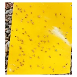 Piège collant à insectes 20*25 cm avec super colle pour la protection de la plantation Serres Vergers Fermes