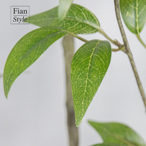FONG IAN grosir daun Osmanthus dengan Pot hidup hijau Natal pernikahan dekorasi dalam ruangan untuk pintu masuk rumah kantor - Product Image 5