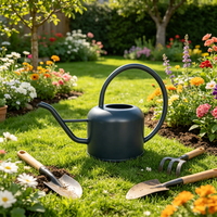 Arrosoir en fer avec revêtement en poudre, taille et couleur personnalisables, arrosoir de jardin en métal avec long bec pour plantes d'intérieur et d'extérieur