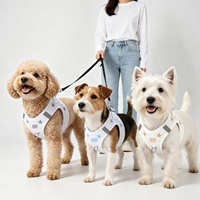 Harnais pour chien en néoprène Sunraymascota, simple et luxueux, avec laisse - Personnalisable, OEM, écologique et respirant