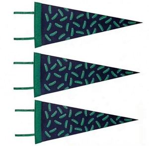 Professional Customizable Digital Printing University Felt Triangle <b>Banners</b> Portable Waterproof Eco-Friendly - Product Image 3