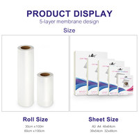 DTF Papier Transfert Pet Film A3 A4 Feuille T-shirt Transfert à Chaleur DTF FILM pour Epson L1800 R1390 R805 Dtf Imprimante