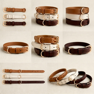 Collares de Cuero para Perros Listos para Venta al por Menor, Suministro para Boutiques y Distribuidores de Mascotas de Divine International - Product Image 1
