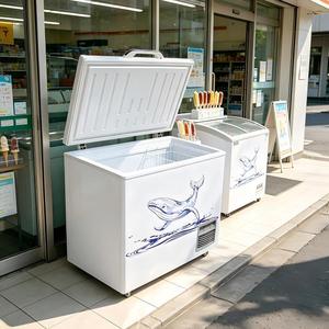 Congélateur <span class=keywords><strong>coffre</strong></span> commercial <span class=keywords><strong>200L</strong></span>-500L à économie d'énergie, refroidissement rapide, certifié CE pour supermarchés et magasins – Vente directe usine - Product Image 4