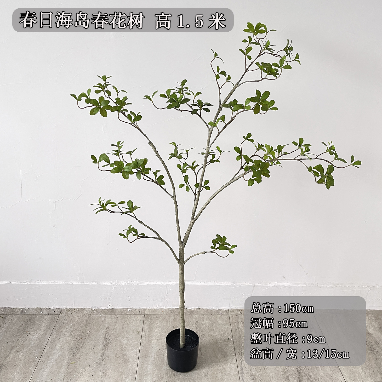 Árboles de flores primaverales de isla, 15m de altura, color verde.